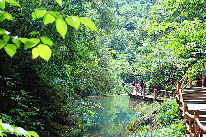 IMG_6451_副本.jpg