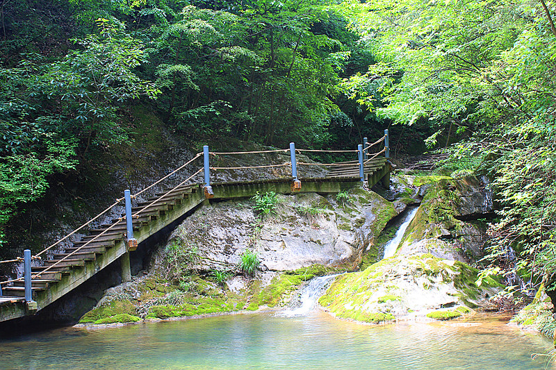 IMG_6482_副本.jpg