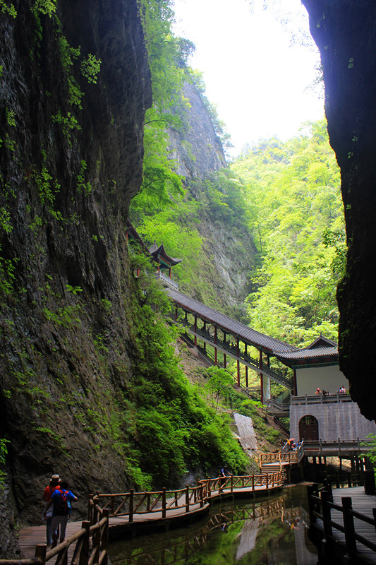 IMG_6590_副本.jpg