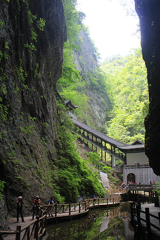 IMG_6592_副本.jpg