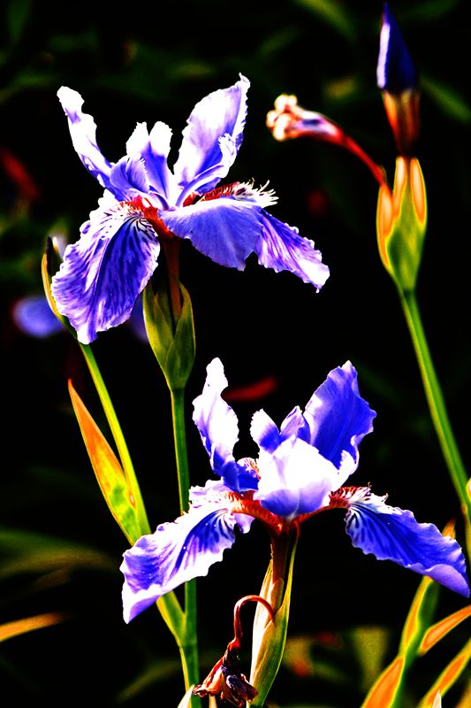 DSC_0983_副本_副本.jpg