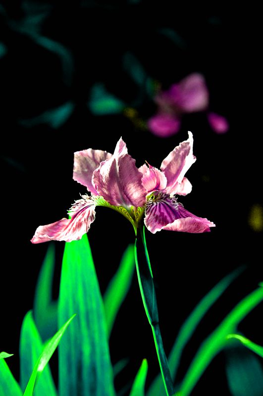 DSC_1081_副本_副本.jpg