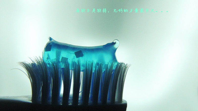 DSCN2649_副本.jpg
