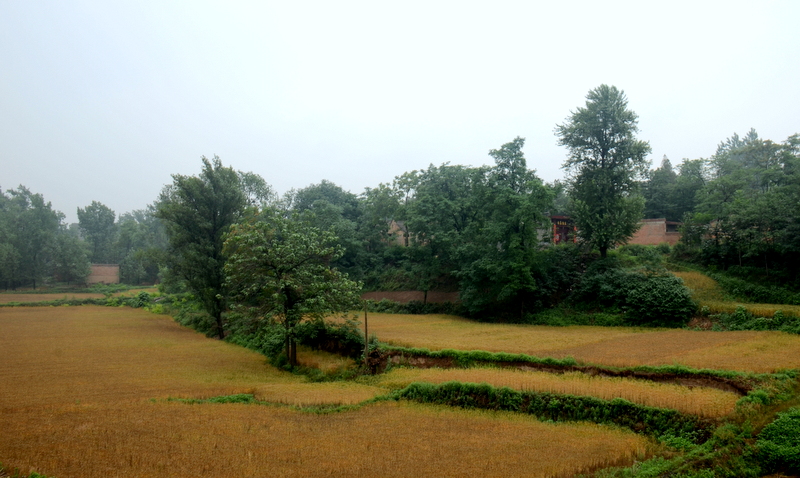 DSC_3420.JPG