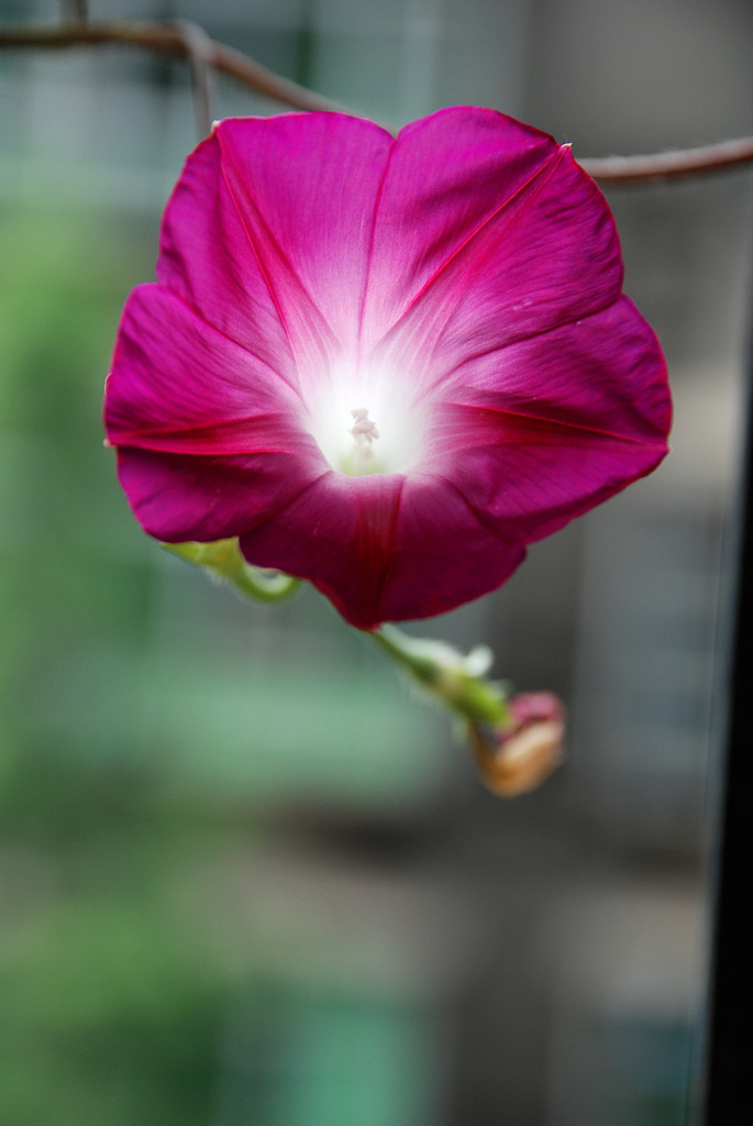 DSC_0234.JPG