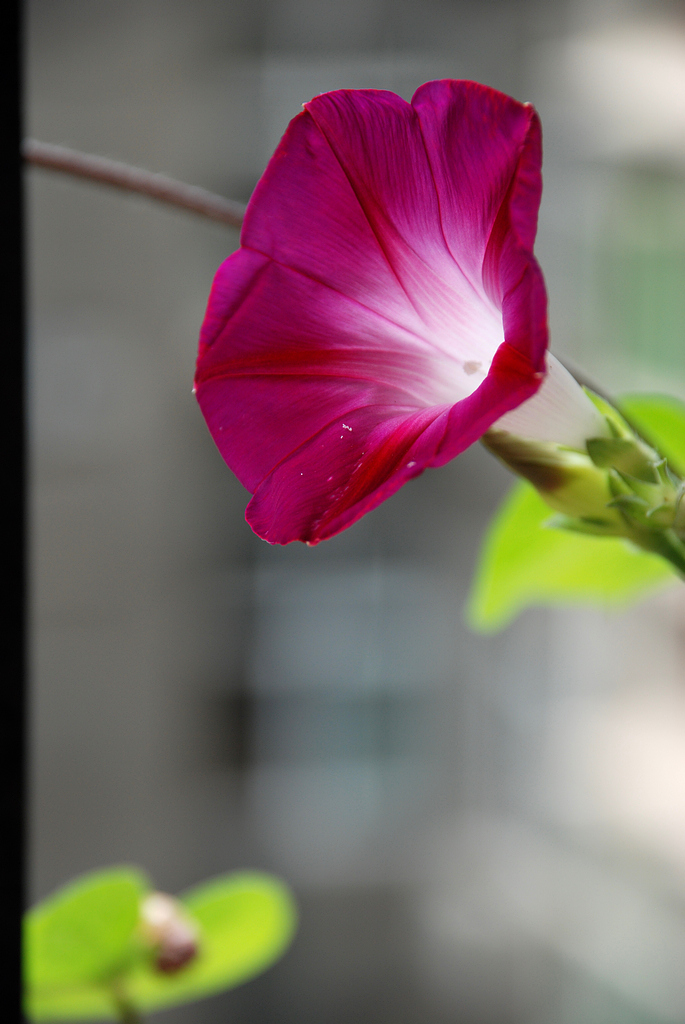 DSC_0235.JPG