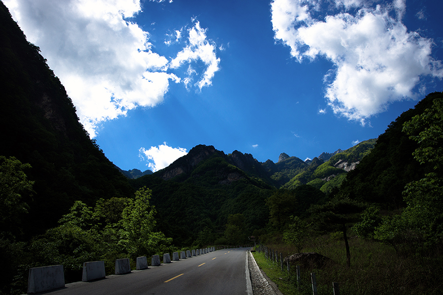 DSC05076-编辑-900.jpg