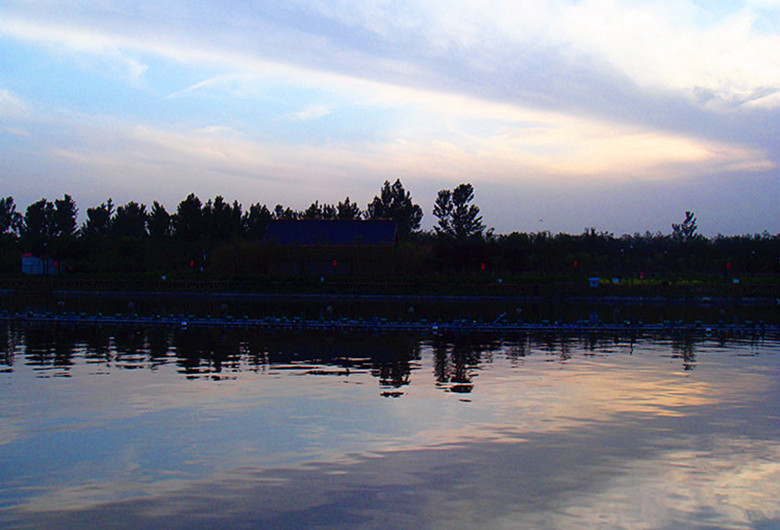 DSC06113_副本_副本.jpg