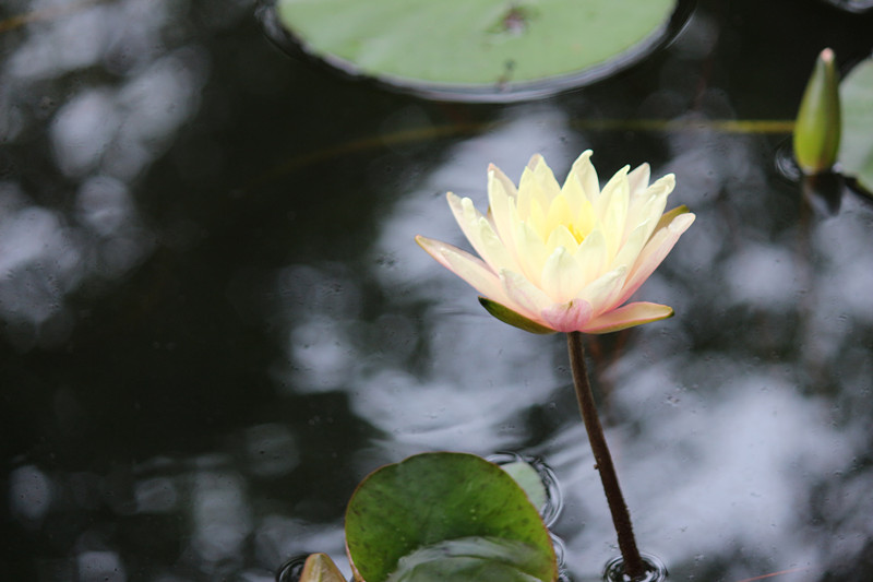 IMG_0753_副本.jpg