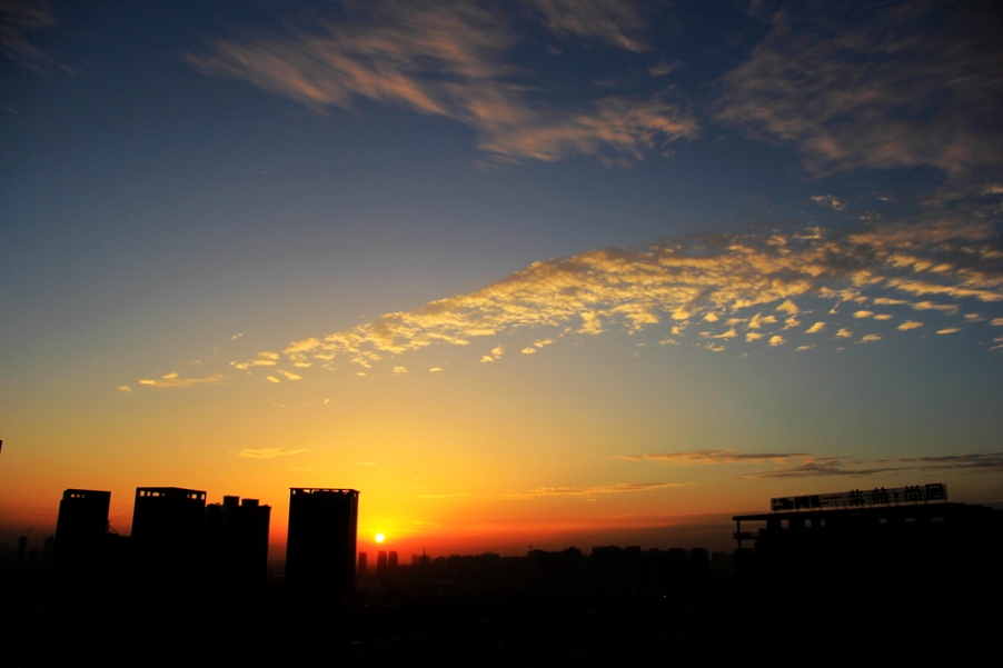 _MG_2920.jpg