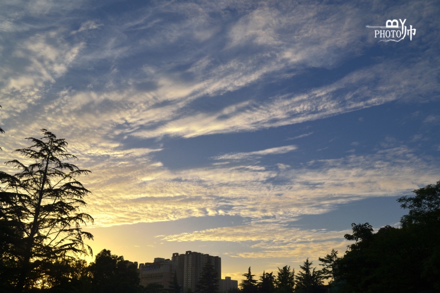 DSC_7842_副本.jpg