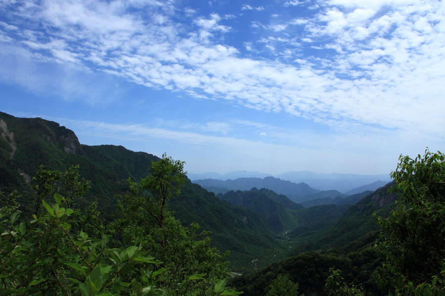 秦岭光头山7.JPG