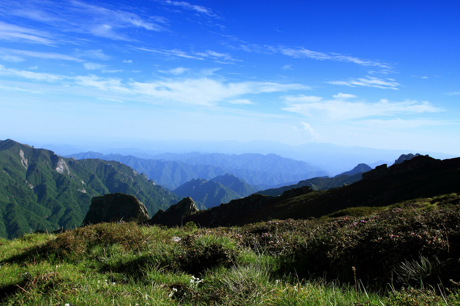 秦岭光头山30.JPG