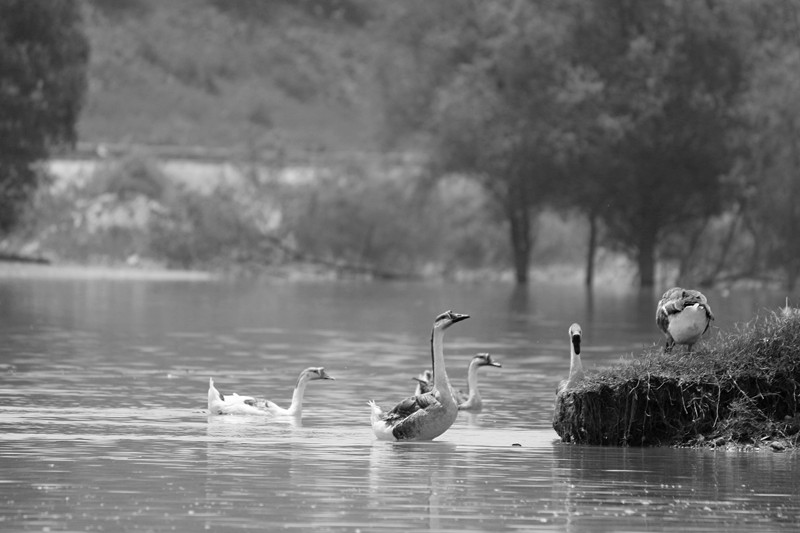 IMG_0904_副本.jpg
