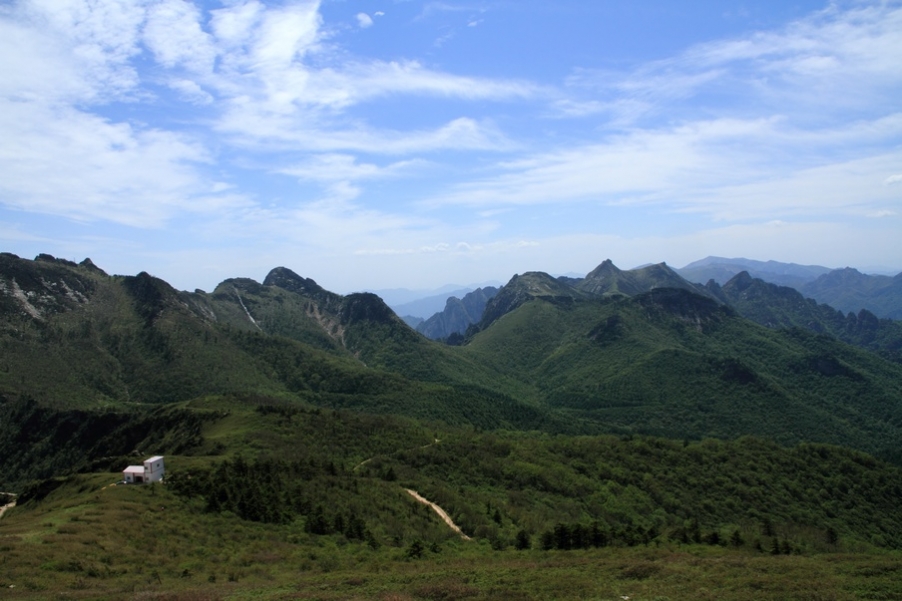 植物园78.jpg