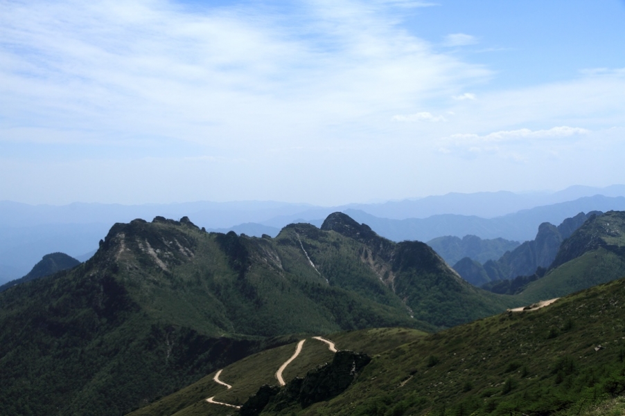 植物园80.jpg