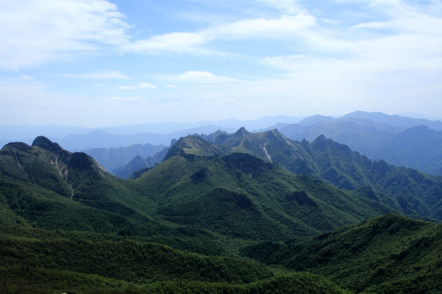 植物园85.jpg