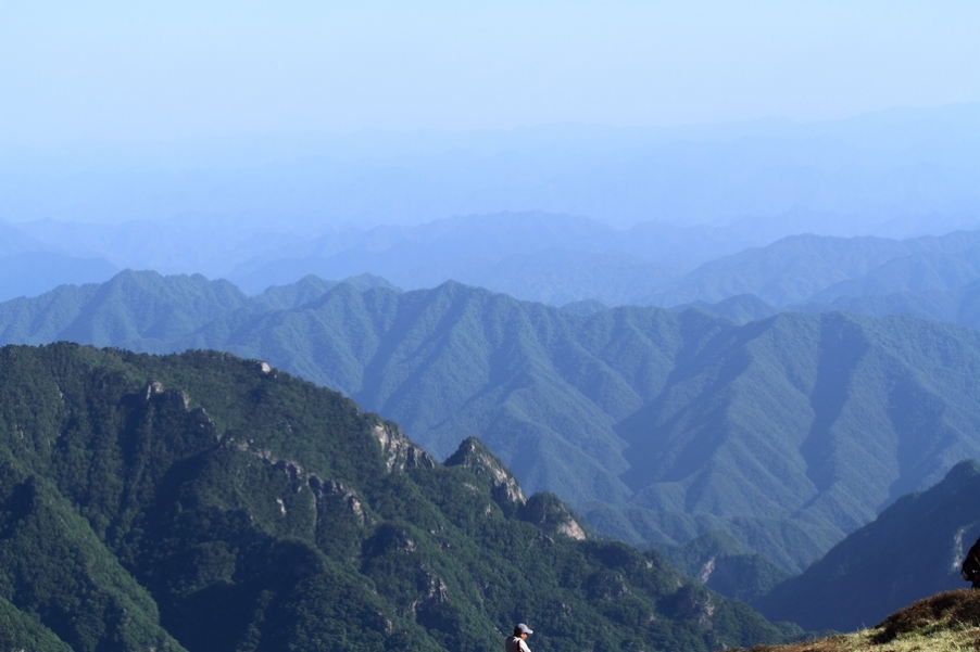 植物园90.jpg