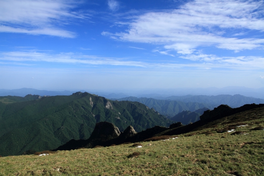 植物园91.jpg
