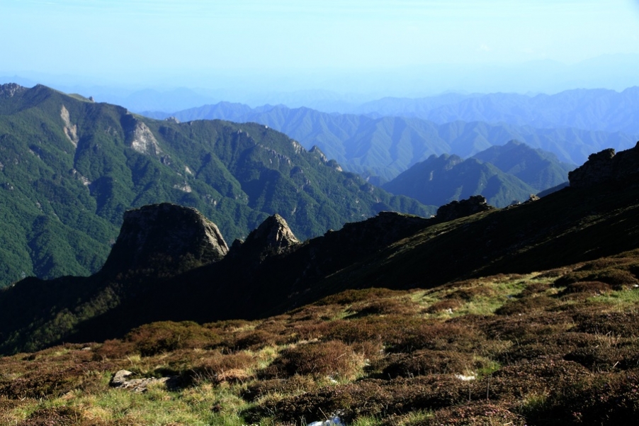 植物园92.jpg