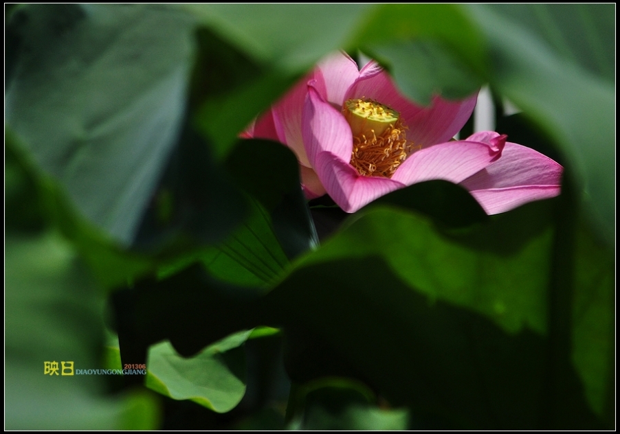 DSC_0017人.jpg