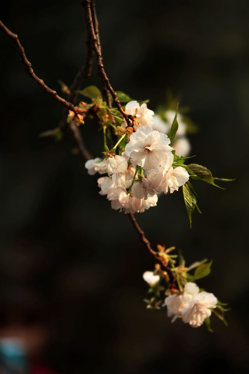 IMG_9846.jpg