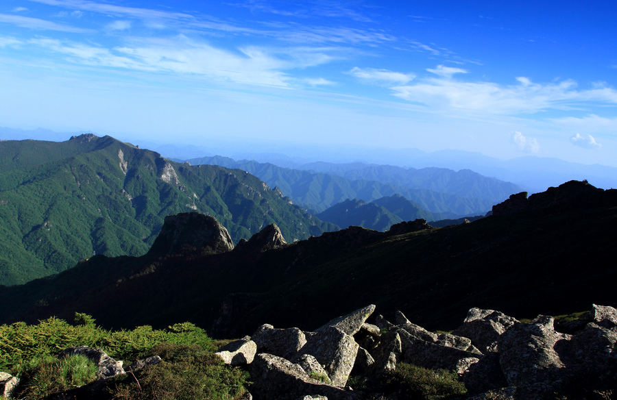 秦岭光头山32.JPG