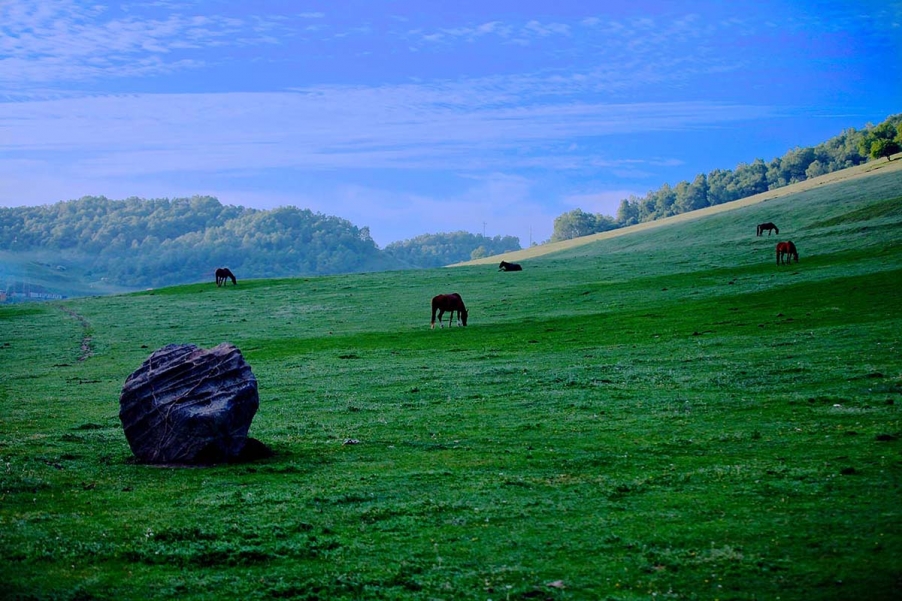 20130601_0565.jpg