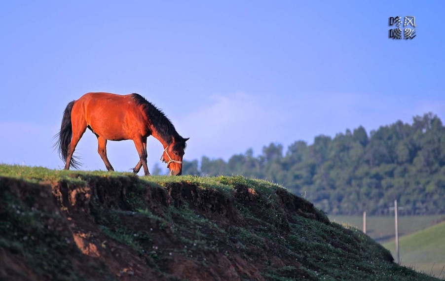 20130601_0652.jpg