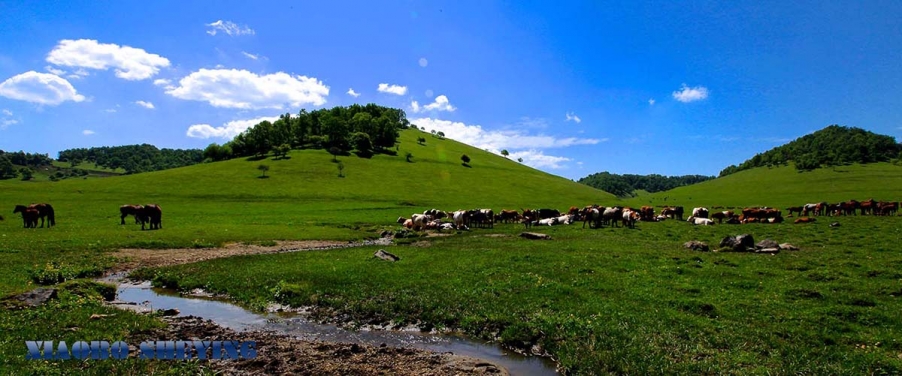 20130601_0877.jpg