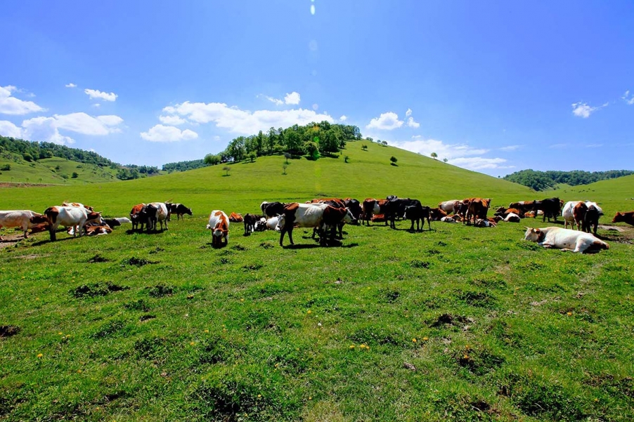 20130601_0885.jpg