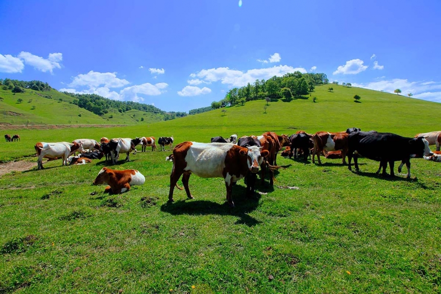 20130601_0886.jpg