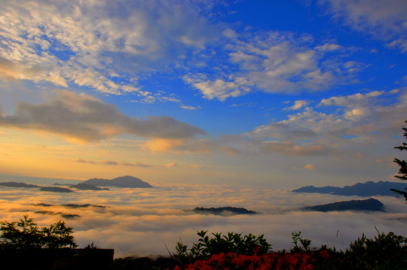 DSC_96677_副本.jpg