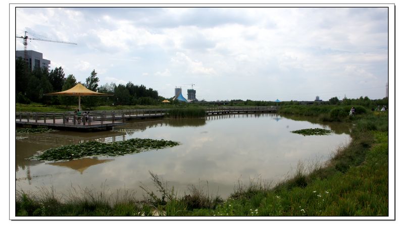 09.jpg