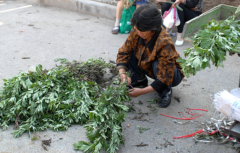 端午节 (36).JPG