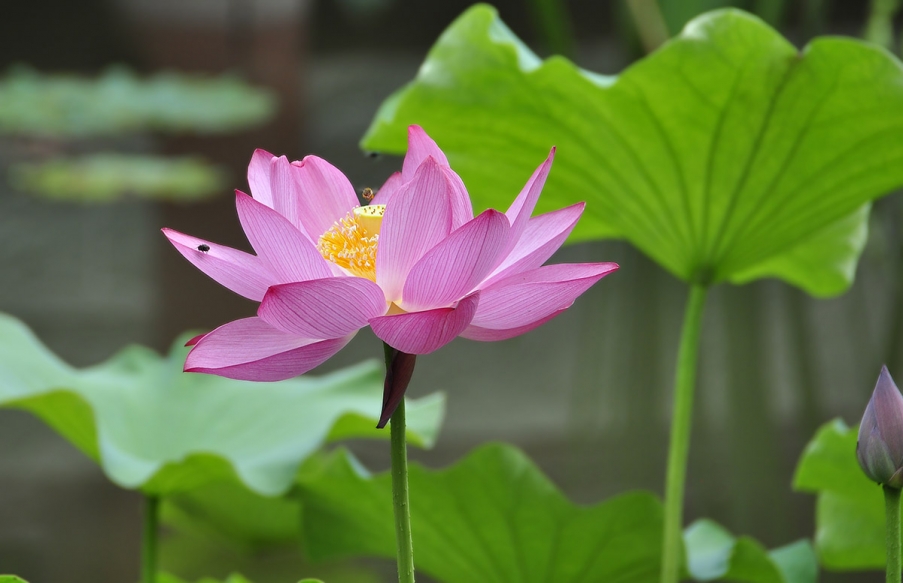 _DSC5760副本.jpg