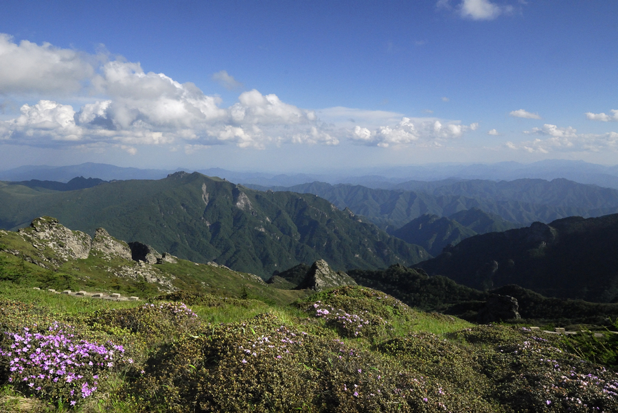 _DSC0004.jpg