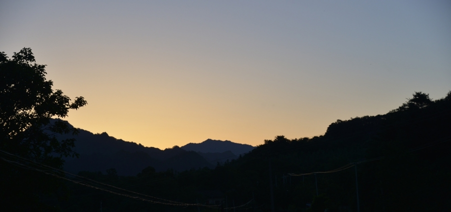 DSC_3384.JPG