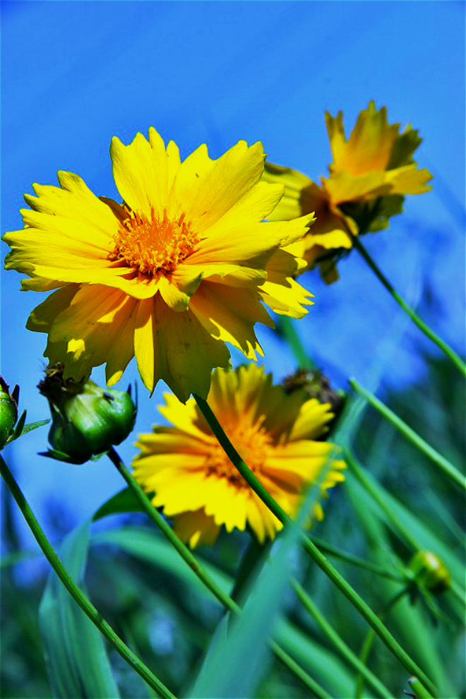 psb_meitu_997.jpg