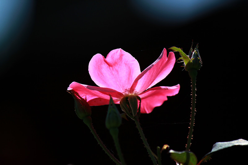 IMG_2848_副本.jpg