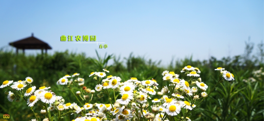 农博园之行03.jpg