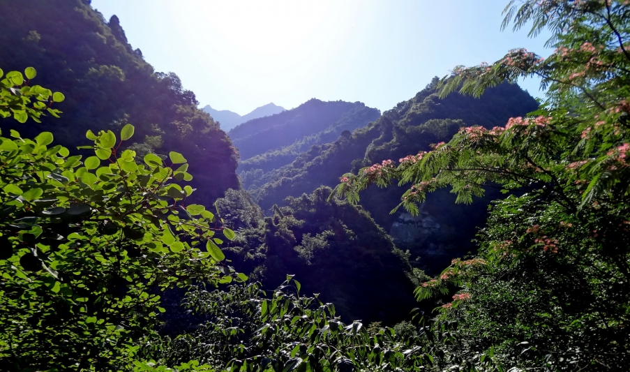 DSC01798A_调整大小.jpg