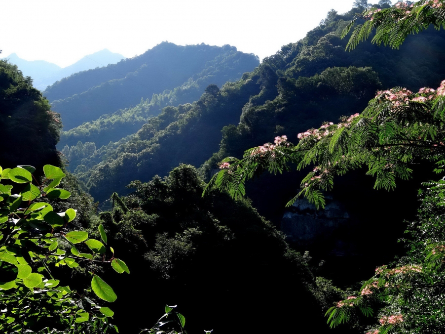 DSC01799A_调整大小.jpg