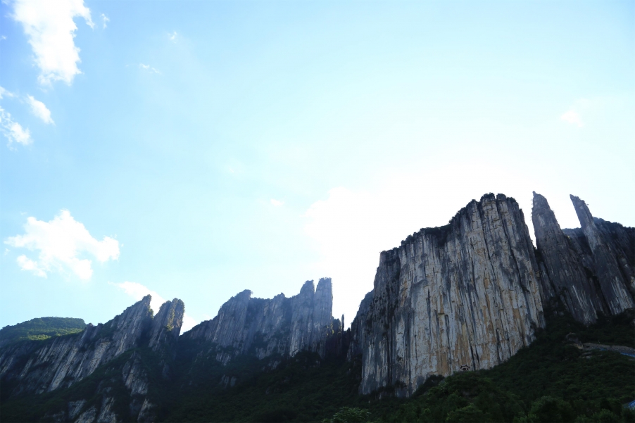 全景
