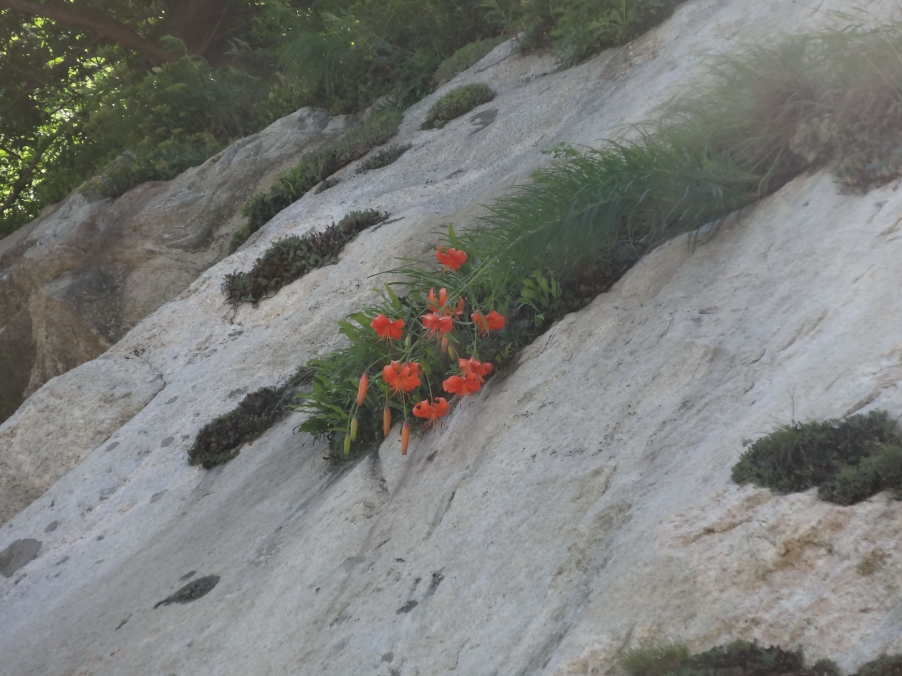 DSC01804_调整大小.jpg