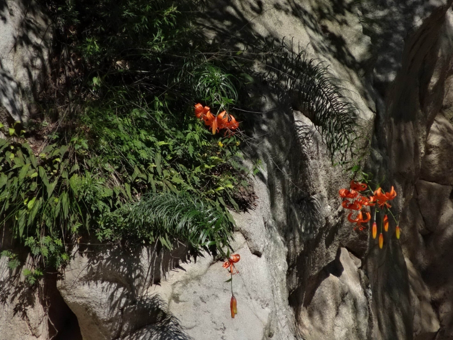 DSC01809_调整大小_调整大小.jpg