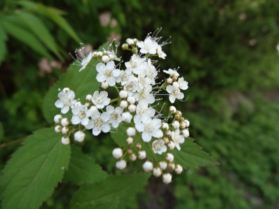DSC01826_调整大小.jpg