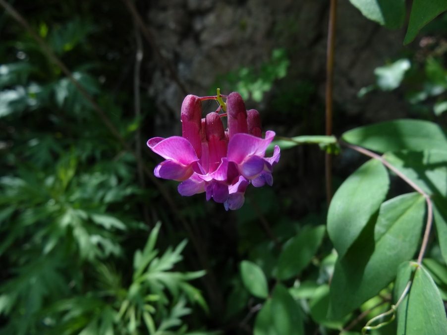 DSC01839_调整大小.jpg