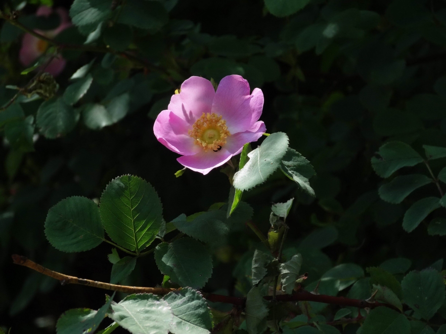 DSC01843_调整大.jpg