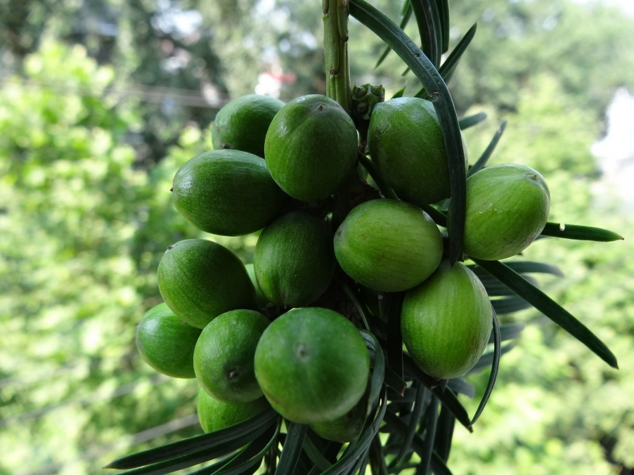 DSC01876_调整大小.jpg